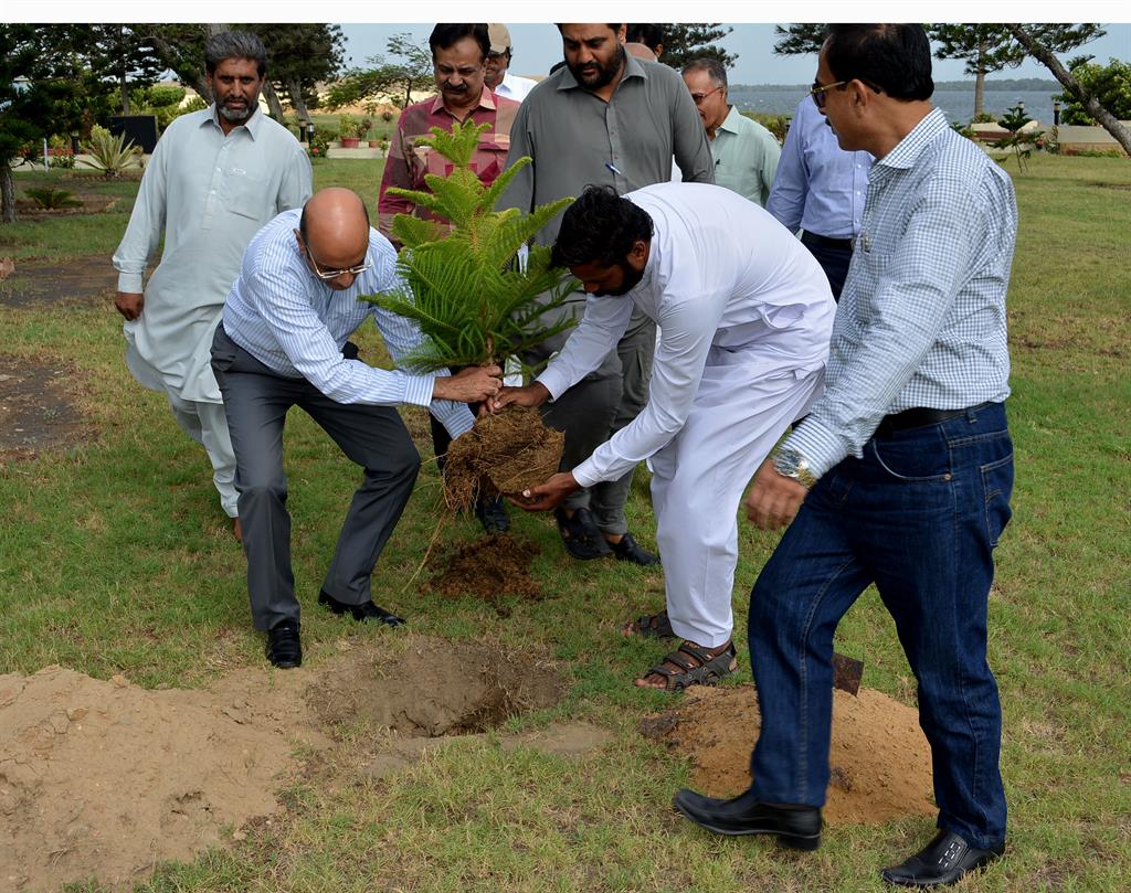 Chairman PQA in plantation ceremony - 6