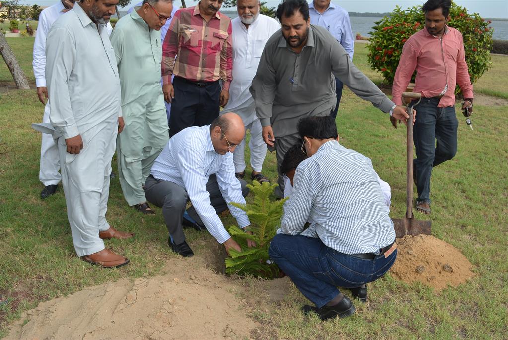 Chairman PQA in plantation ceremony - 7