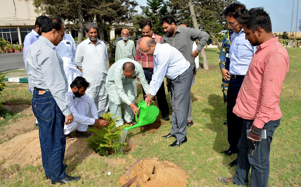 Chairman PQA in plantation ceremony - 4