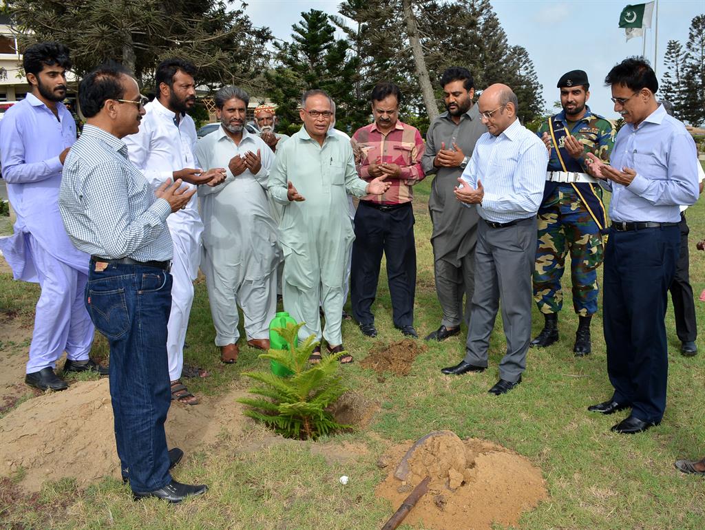 Chairman PQA in plantation ceremony - 30