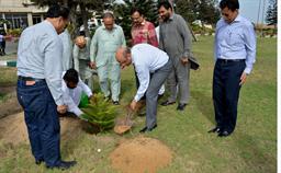 Chairman PQA in plantation ceremony - 0