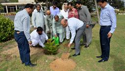 Chairman PQA in plantation ceremony - 1