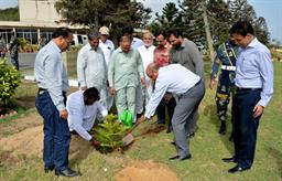 Chairman PQA in plantation ceremony - 2