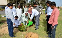 Chairman PQA in plantation ceremony - 4