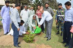 Chairman PQA in plantation ceremony - 5